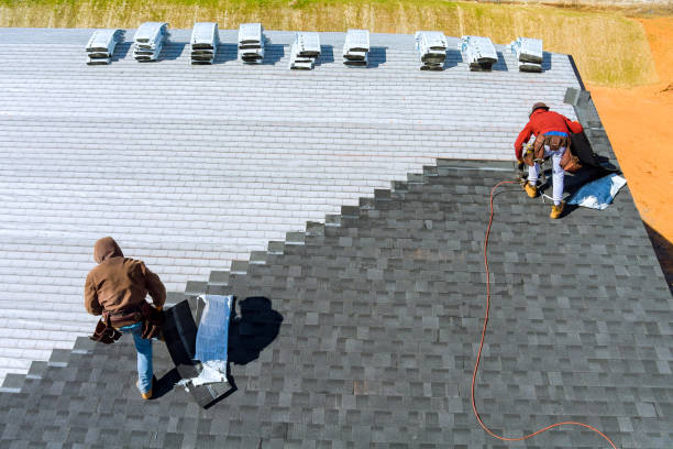 Best Roof Gutter Cleaning  in Benton, KY