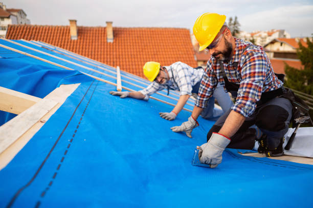 Roof Gutter Cleaning in Benton, KY